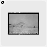 アートポストカード-Rice Straw Stack Fire near Crowley, Louisiana
 - ラッセル リー Postcard.