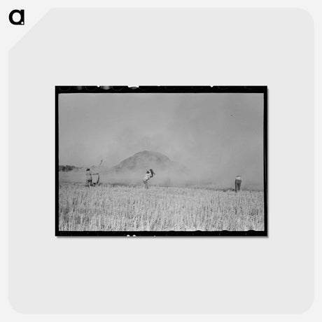 アートポストカード-Rice Straw Stack Fire near Crowley, Louisiana
 - ラッセル リー Postcard.