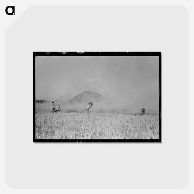 アートポストカード-Rice Straw Stack Fire near Crowley, Louisiana
 - ラッセル リー Postcard.