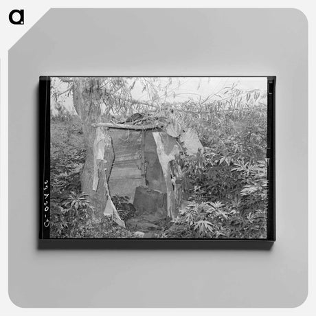 アートパネル-Privy of Agricultural Day Laborer, Webbers Falls, Oklahoma
 - ラッセル リー Canvas.