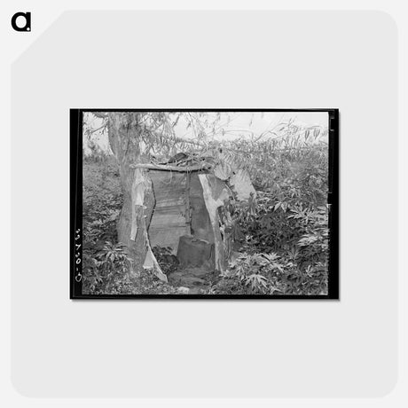 アートポストカード-Privy of Agricultural Day Laborer, Webbers Falls, Oklahoma
 - ラッセル リー Postcard.