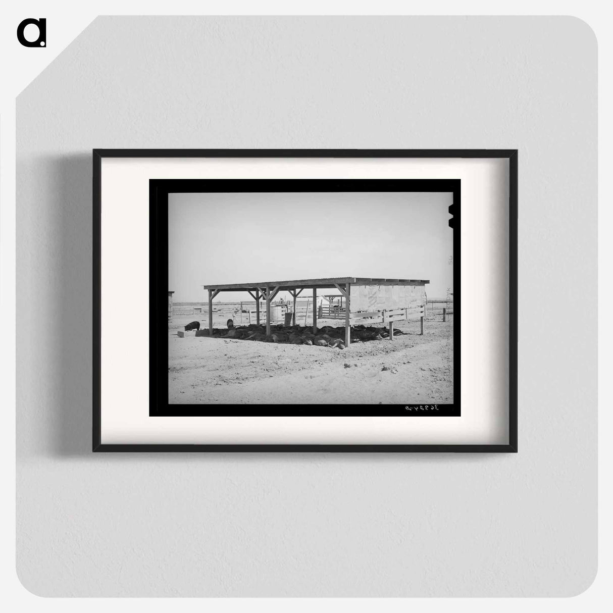 アートポスター-Hogs and Their Shelter at Casa Grande Valley Farms
 - ラッセル リー Poster.