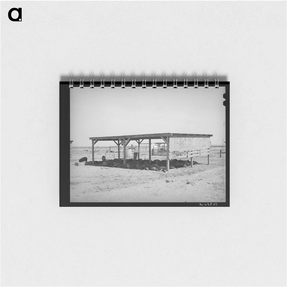 アートメモ帳-Hogs and Their Shelter at Casa Grande Valley Farms
 - ラッセル リー Memo.