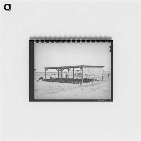 アートメモ帳-Hogs and Their Shelter at Casa Grande Valley Farms
 - ラッセル リー Memo.