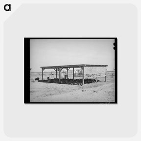 アートポストカード-Hogs and Their Shelter at Casa Grande Valley Farms
 - ラッセル リー Postcard.