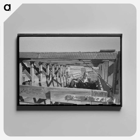 アートパネル-Cattle Corral, Brawley, California Vicinity
 - ラッセル リー Canvas.