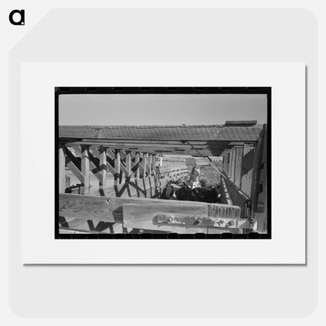 アートポスター-Cattle Corral, Brawley, California Vicinity
 - ラッセル リー Poster.