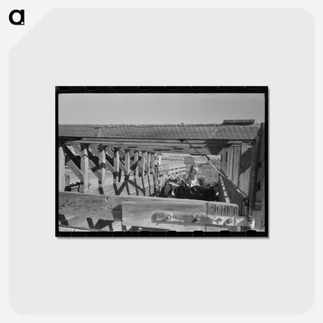 アートポストカード-Cattle Corral, Brawley, California Vicinity
 - ラッセル リー Postcard.