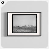アートポスター-Vegetable Picking, Casa Grande Valley Farms
 - ラッセル リー Poster.