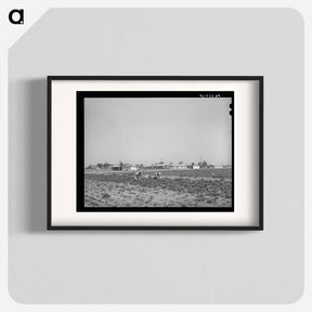 アートポスター-Vegetable Picking, Casa Grande Valley Farms
 - ラッセル リー Poster.