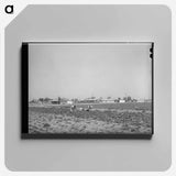 アートパネル-Vegetable Picking, Casa Grande Valley Farms
 - ラッセル リー Canvas.