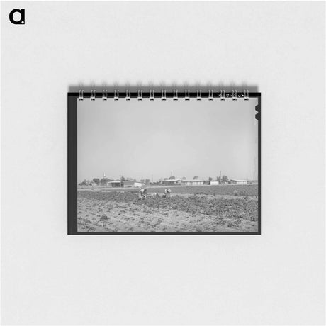 アートメモ帳-Vegetable Picking, Casa Grande Valley Farms
 - ラッセル リー Memo.