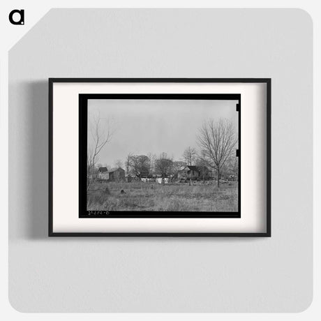 アートポスター-Typical Farmstead near Lake Providence, Louisiana
 - ラッセル リー Poster.