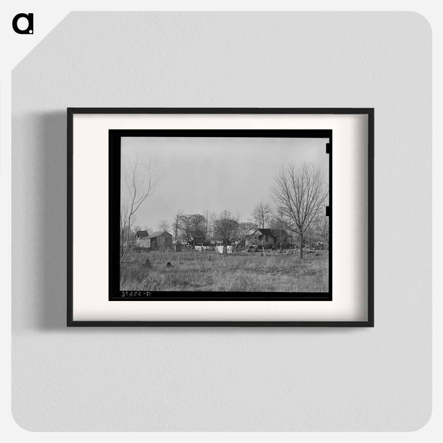 アートポスター-Typical Farmstead near Lake Providence, Louisiana
 - ラッセル リー Poster.