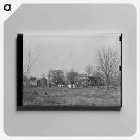 アートパネル-Typical Farmstead near Lake Providence, Louisiana
 - ラッセル リー Canvas.