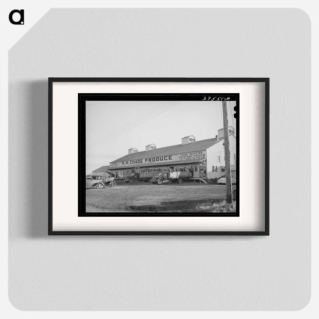 アートポスター-Pea Pickers, Canyon County, Idaho
 - ラッセル リー Poster.