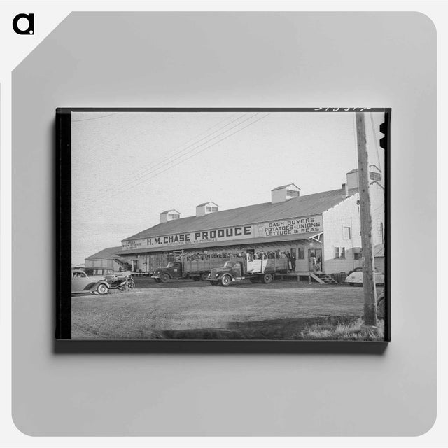 アートパネル-Pea Pickers, Canyon County, Idaho
 - ラッセル リー Canvas.