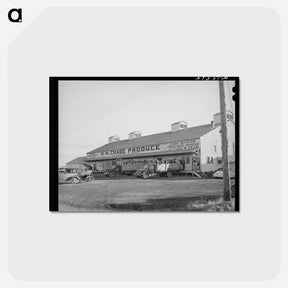 アートポストカード-Pea Pickers, Canyon County, Idaho
 - ラッセル リー Postcard.