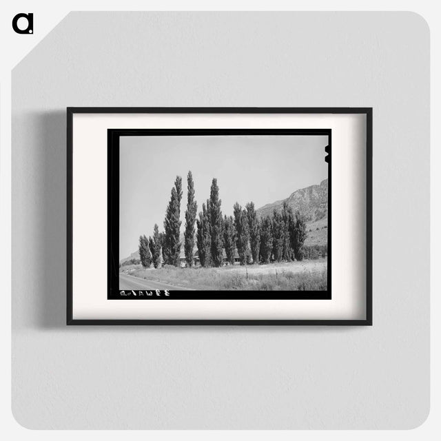 アートポスター-Lombardy Poplars, Box Elder County, Utah
 - ラッセル リー Poster.