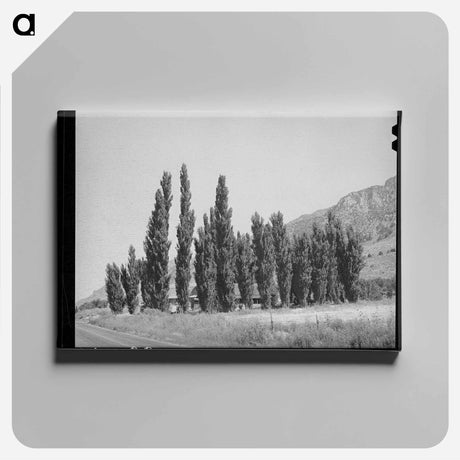 アートパネル-Lombardy Poplars, Box Elder County, Utah
 - ラッセル リー Canvas.