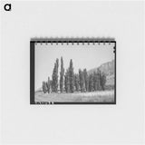 アートメモ帳-Lombardy Poplars, Box Elder County, Utah
 - ラッセル リー Memo.