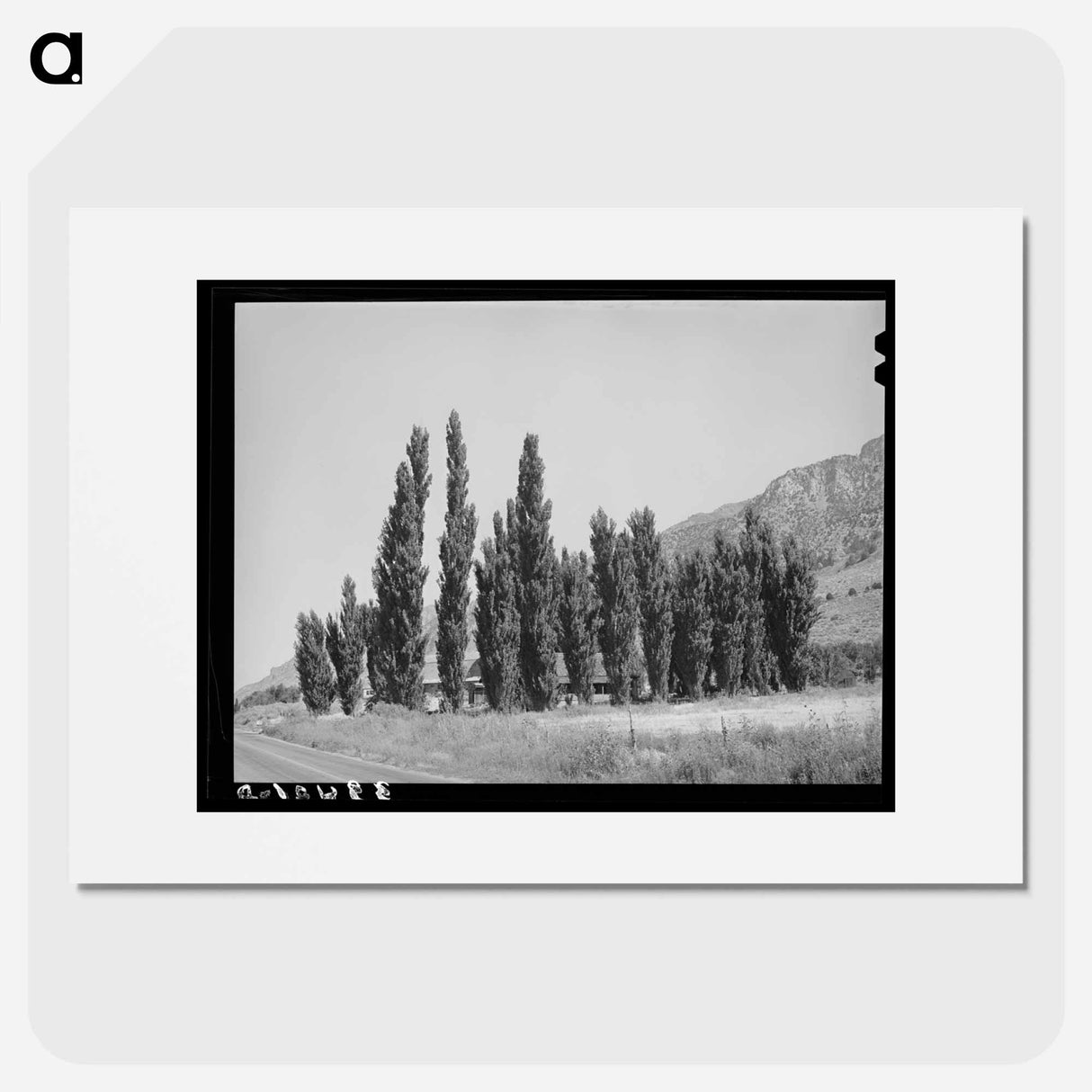 アートポスター-Lombardy Poplars, Box Elder County, Utah
 - ラッセル リー Poster.