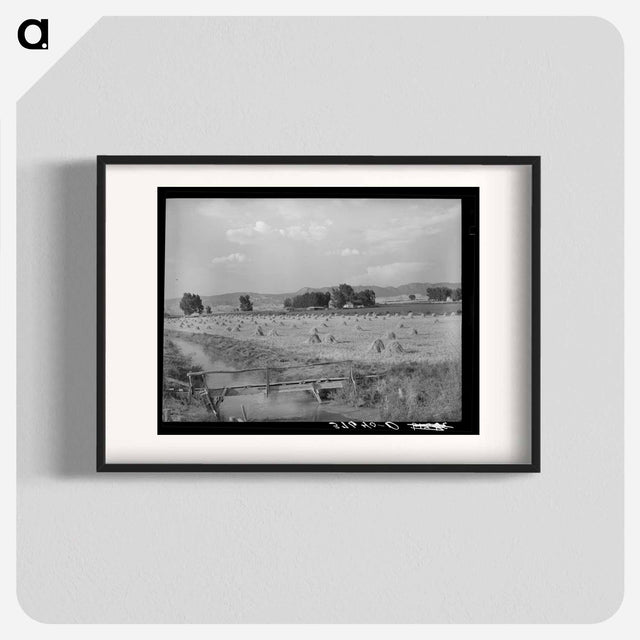 アートポスター-Irrigation Ditch Leading to Farm, Montrose
 - ラッセル リー Poster.
