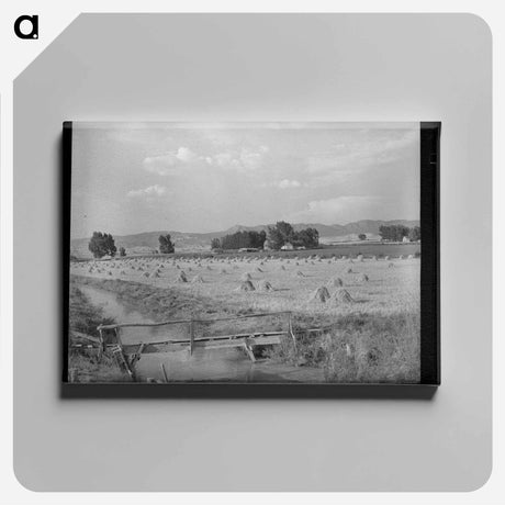 アートパネル-Irrigation Ditch Leading to Farm, Montrose
 - ラッセル リー Canvas.