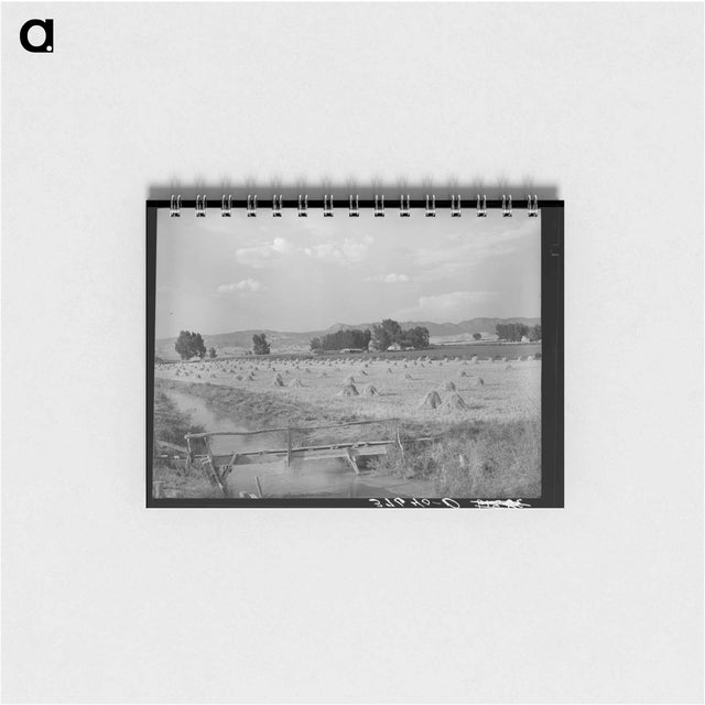 アートメモ帳-Irrigation Ditch Leading to Farm, Montrose
 - ラッセル リー Memo.