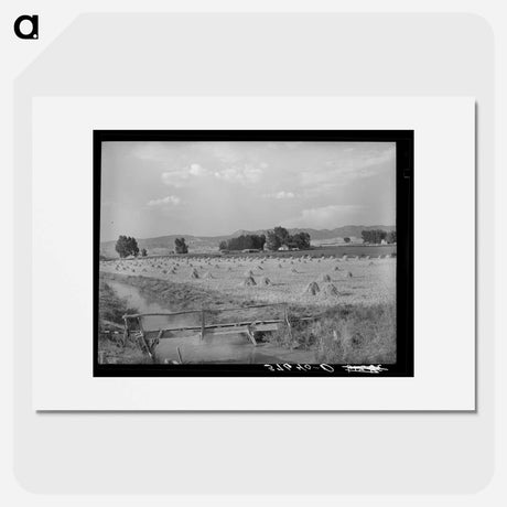 アートポスター-Irrigation Ditch Leading to Farm, Montrose
 - ラッセル リー Poster.