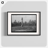 アートポスター-Remains of House Destroyed by Fire, Cut-Over Area, New Jersey
 - ラッセル リー Poster.