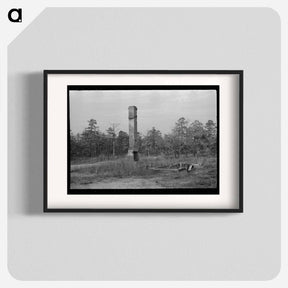 アートポスター-Remains of House Destroyed by Fire, Cut-Over Area, New Jersey
 - ラッセル リー Poster.