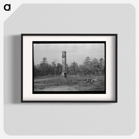 アートポスター-Remains of House Destroyed by Fire, Cut-Over Area, New Jersey
 - ラッセル リー Poster.