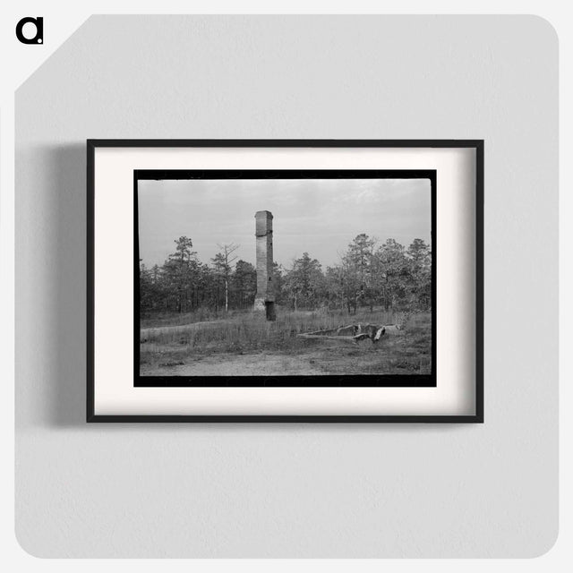 アートポスター-Remains of House Destroyed by Fire, Cut-Over Area, New Jersey
 - ラッセル リー Poster.