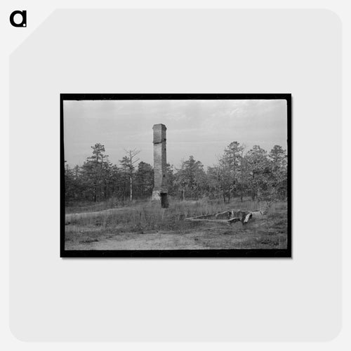 Remains of House Destroyed by Fire, Cut-Over Area, New Jersey
- ラッセル リー Postcard.