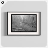 アートポスター-Fenceposts, Chicot Farms, Arkansas
 - ラッセル リー Poster.