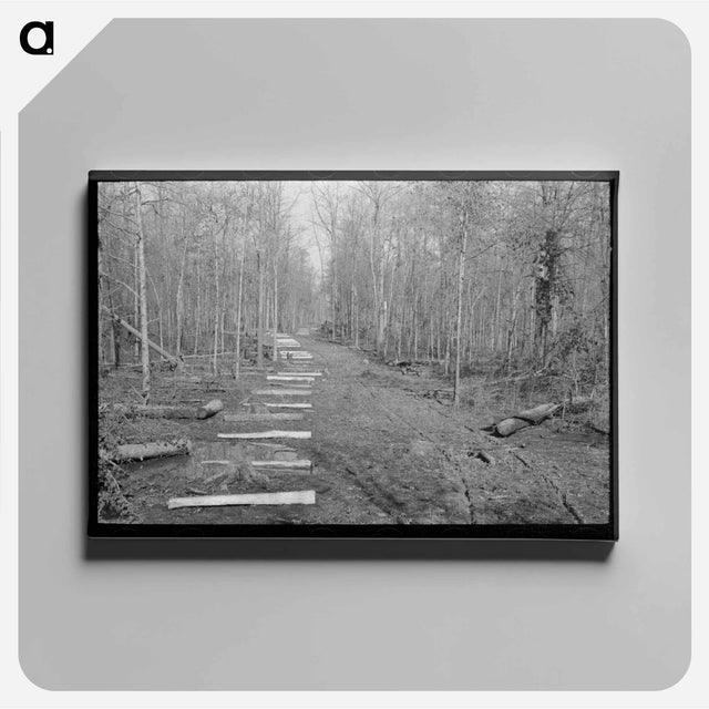 アートパネル-Fenceposts, Chicot Farms, Arkansas
 - ラッセル リー Canvas.