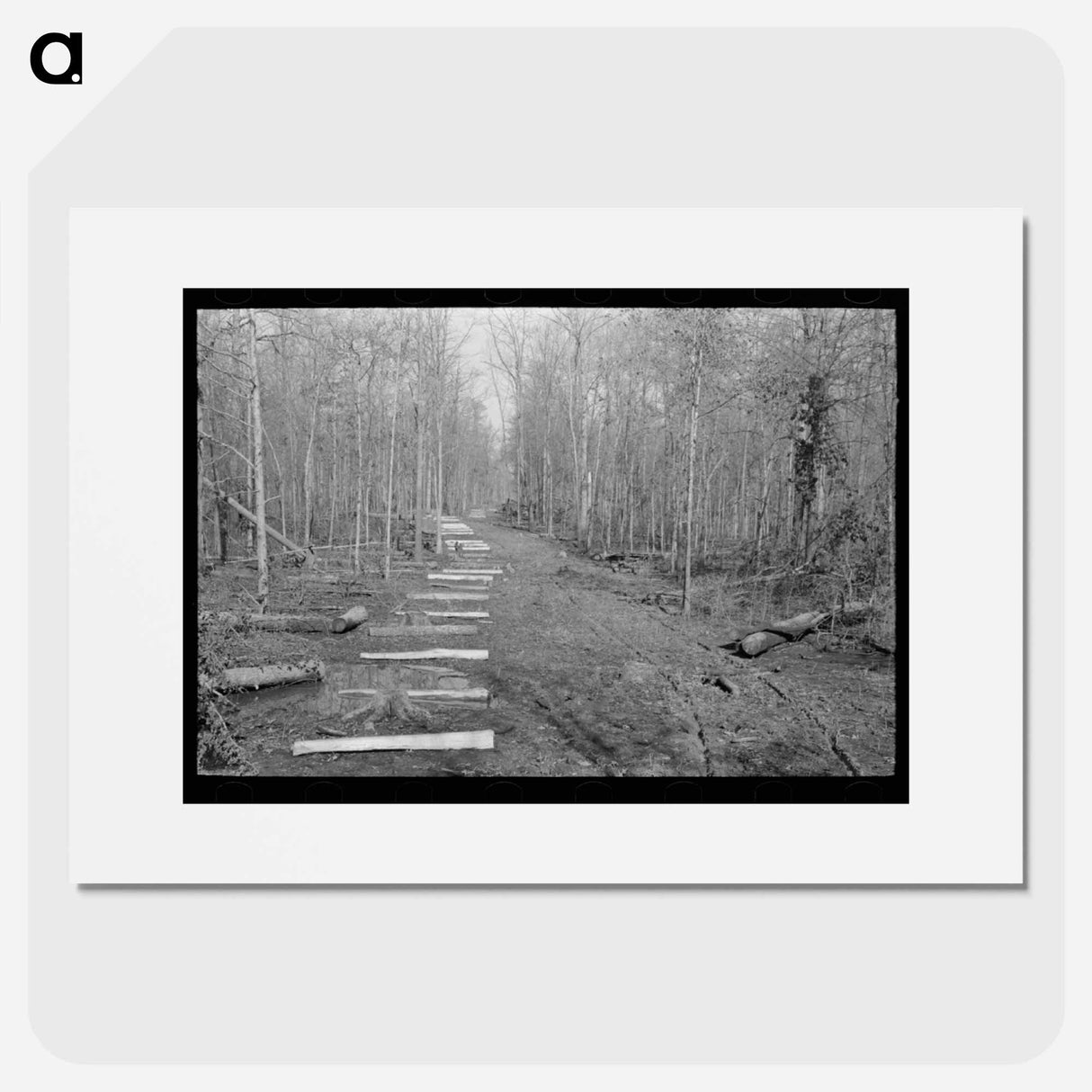 アートポスター-Fenceposts, Chicot Farms, Arkansas
 - ラッセル リー Poster.