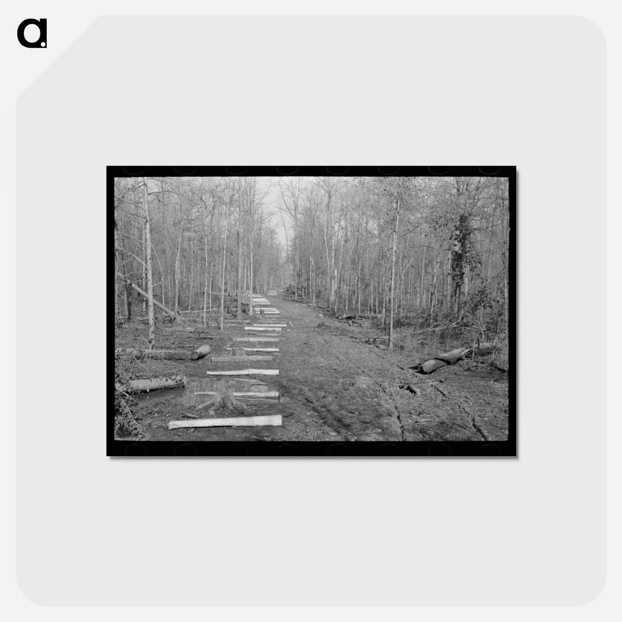 アートポストカード-Fenceposts, Chicot Farms, Arkansas
 - ラッセル リー Postcard.