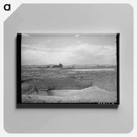 アートパネル-Corral of Farmer and Outlying Farming Country, Box Elder County, Utah
 - ラッセル リー Canvas.