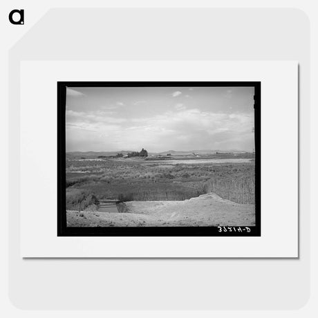 アートポスター-Corral of Farmer and Outlying Farming Country, Box Elder County, Utah
 - ラッセル リー Poster.