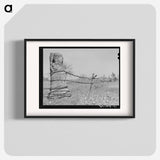 アートポスター-Fence of Oil Well Cable, Creek County, Oklahoma
 - ラッセル リー Poster.