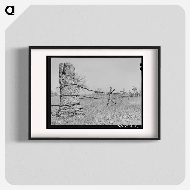 アートポスター-Fence of Oil Well Cable, Creek County, Oklahoma
 - ラッセル リー Poster.