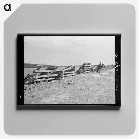 アートパネル-Lumbering Remains, Winton, Minnesota
 - ラッセル リー Canvas.