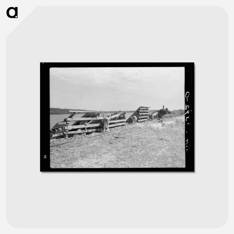 アートポストカード-Lumbering Remains, Winton, Minnesota
 - ラッセル リー Postcard.