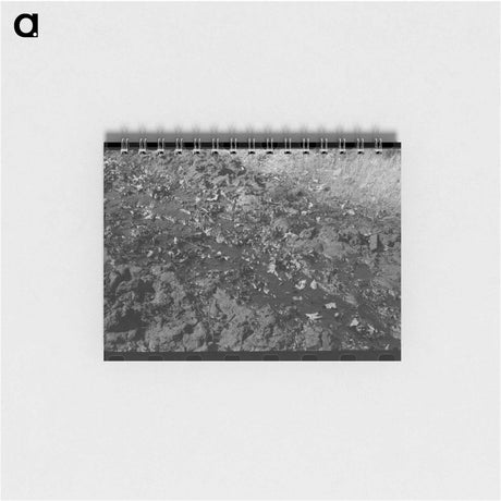 アートメモ帳-Oil Waste, Creek County, Oklahoma
 - ラッセル リー Memo.