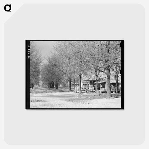 Main Street, Jerome, Arkansas
 - ラッセル リー Postcard.