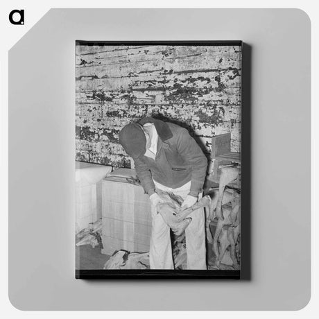 アートパネル-Grading Turkeys at Cold Storage Plant, Brownwood, Texas
 - ラッセル リー Canvas.