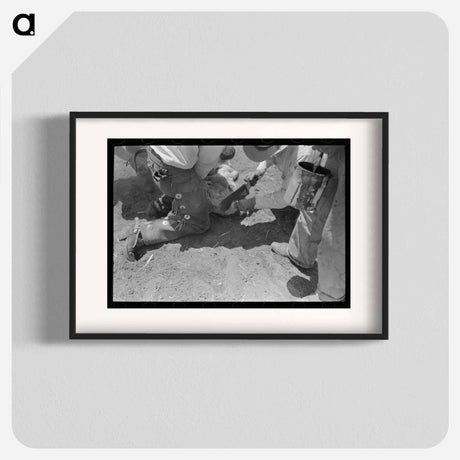 アートポスター-Dehorning a Calf, Spur, Texas
 - ラッセル リー Poster.