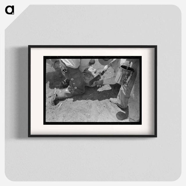 アートポスター-Dehorning a Calf, Spur, Texas
 - ラッセル リー Poster.